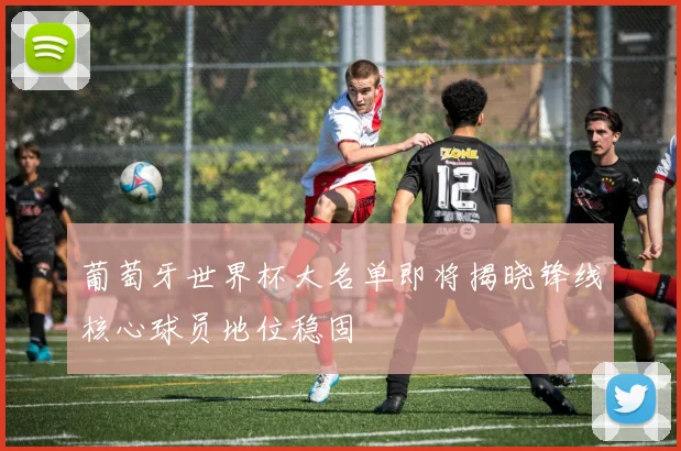 葡萄牙世界杯大名单即将揭晓锋线核心球员地位稳固